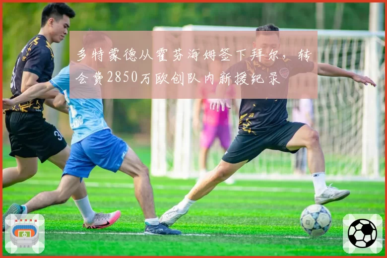 多特蒙德从霍芬海姆签下拜尔，转会费2850万欧创队内新援纪录