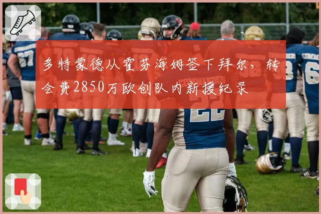 多特蒙德从霍芬海姆签下拜尔，转会费2850万欧创队内新援纪录