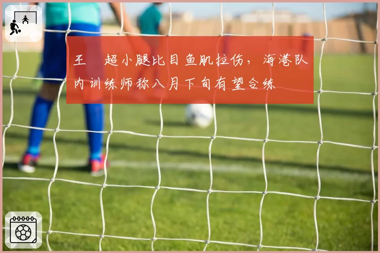 王燊超小腿比目鱼肌拉伤，海港队内训练师称八月下旬有望合练