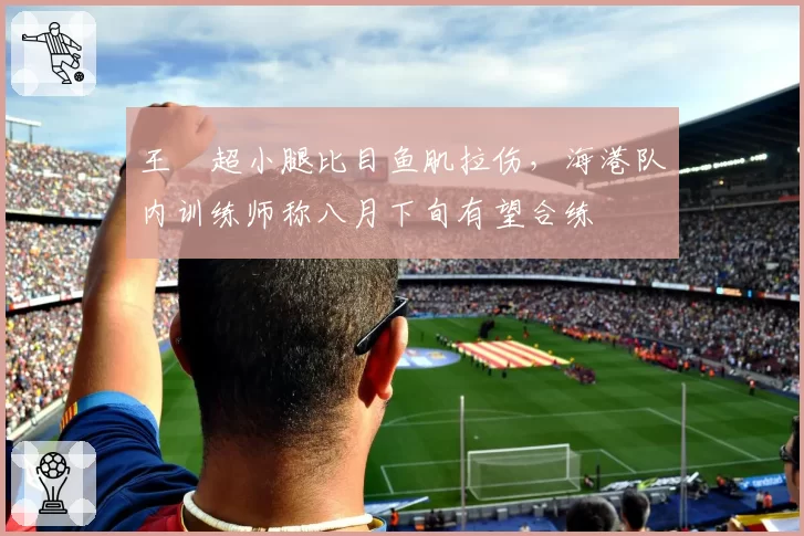 王燊超小腿比目鱼肌拉伤，海港队内训练师称八月下旬有望合练